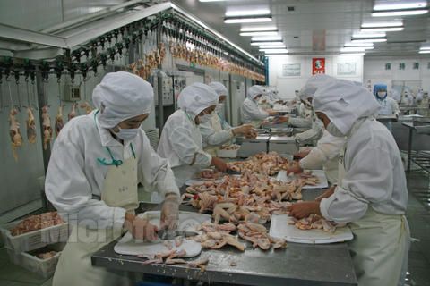 分割线(图07)