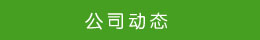 公司动态